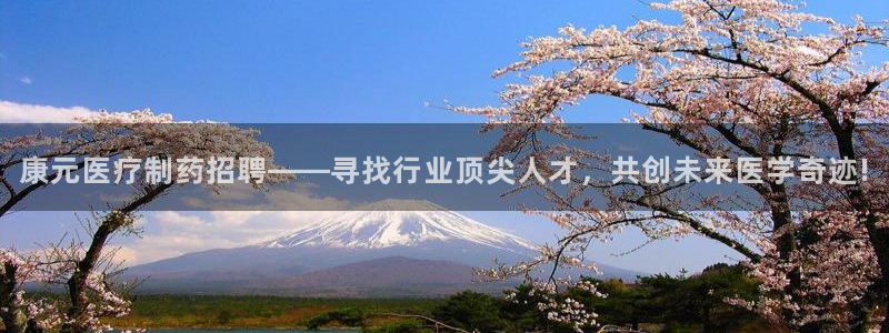 彩名堂人工计划怎么找不到下载了?