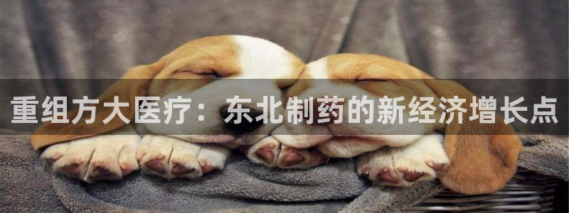 彩名堂图片