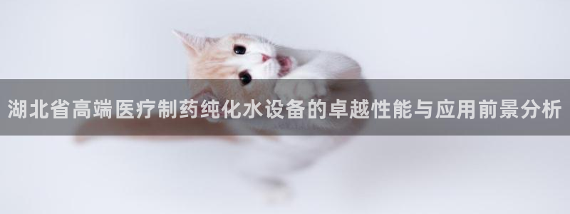 彩名堂是正规的公司吗