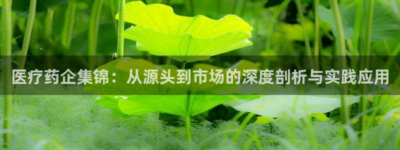 彩名堂免费计划亮点