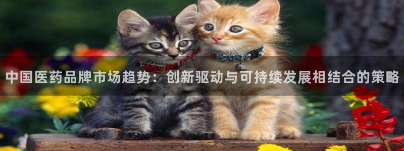 彩名堂为什么突然不能用了