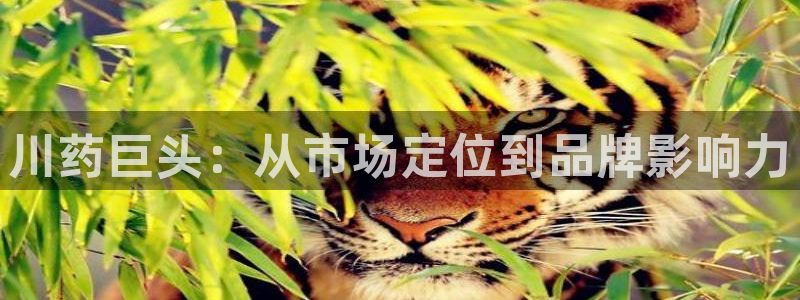 彩名堂预测官网