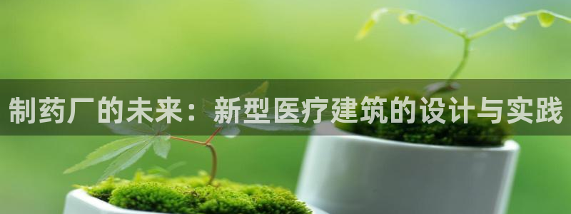 彩名堂全天计划