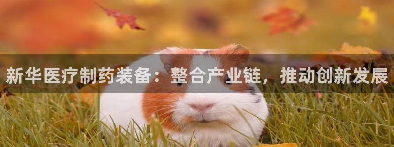 正规彩名堂官网计划01