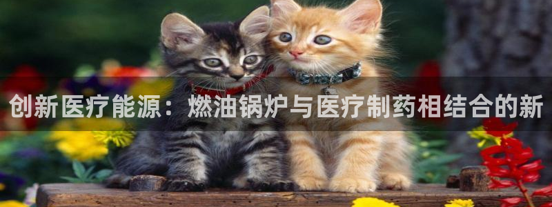 彩名堂4.3