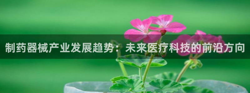 最新彩名堂计划
