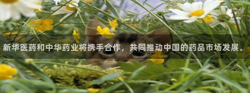 彩名堂怎么打不开了
