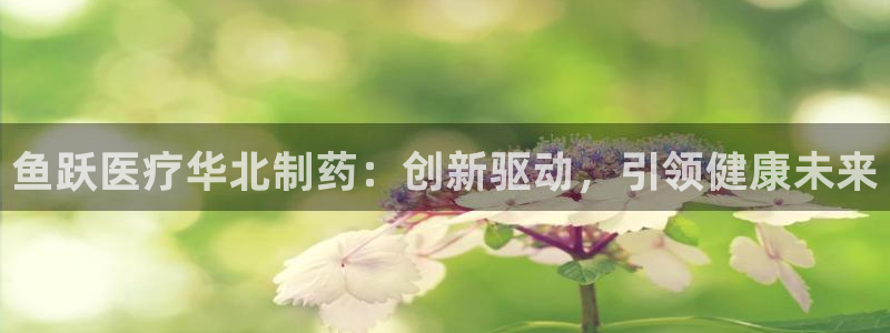 彩名堂平台