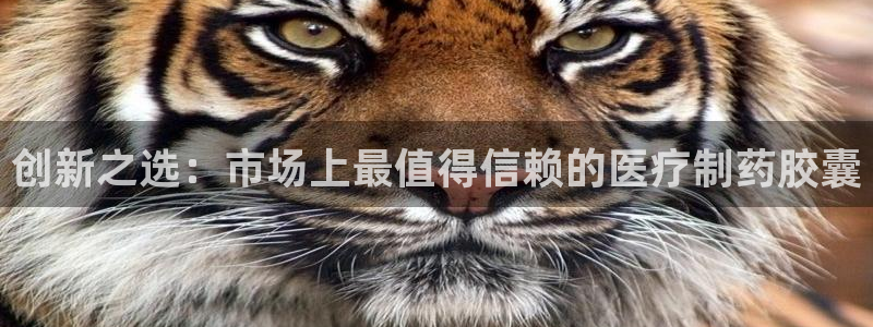 cmt彩名堂