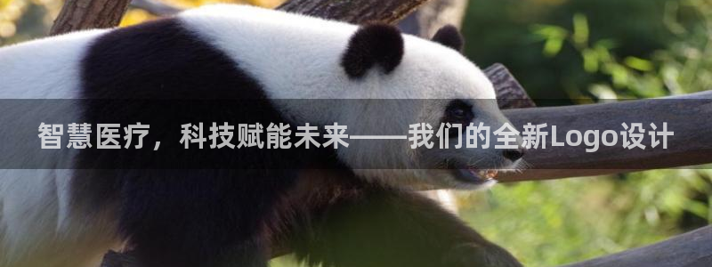 彩名堂还可以用吗