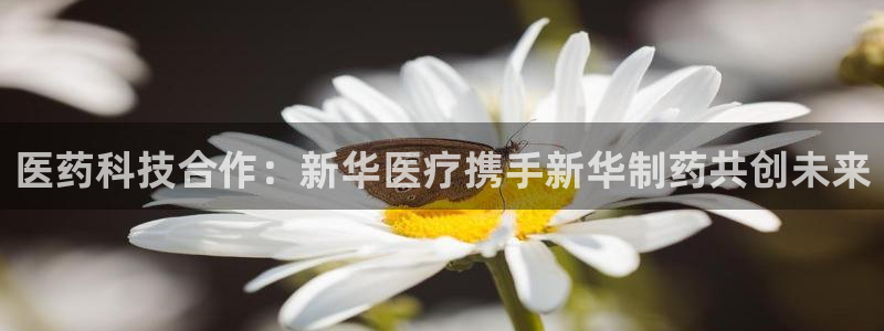 彩名堂免费计划官网怎么进不去了呢