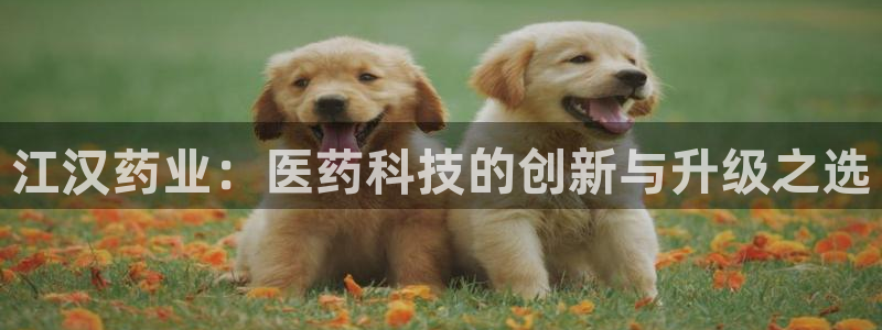 彩名堂预测网站
