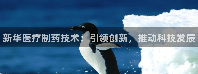 彩名堂预测软件