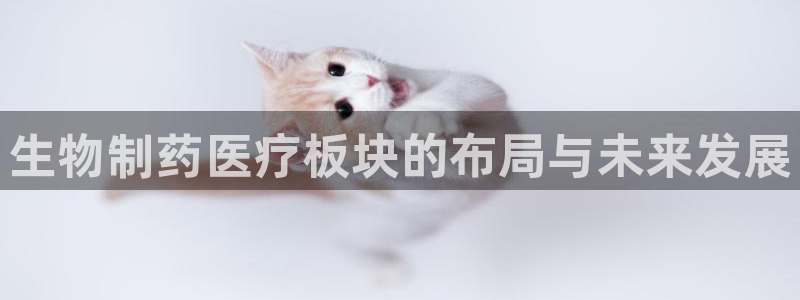 彩名堂怎么选稳定计划