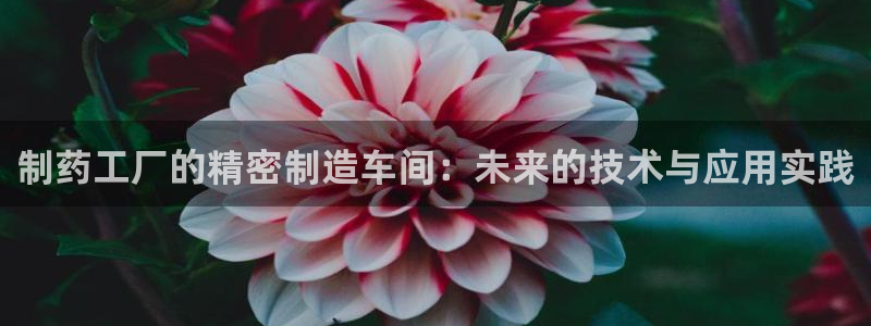 彩名堂免费计划5.0使用方法