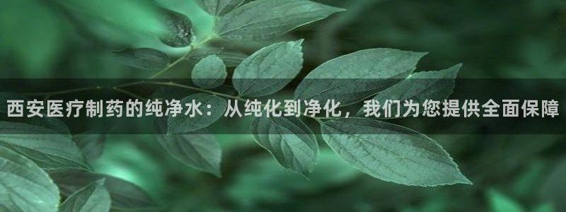 彩名堂手机客户端官网