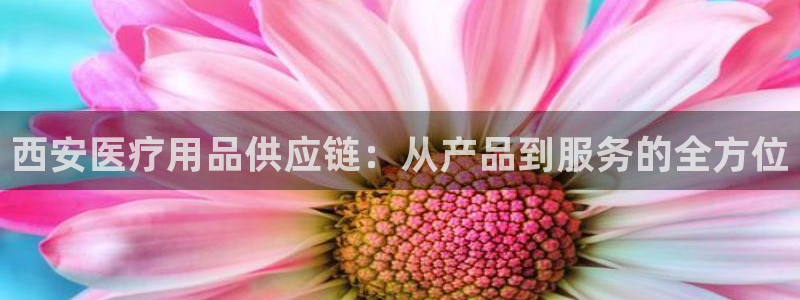 彩名堂预测免费计划