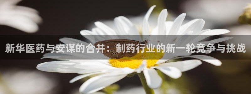 彩名堂人工计划客户端官网