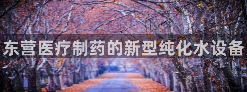 正规彩名堂官网计划01