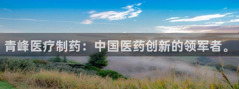 彩名堂01计划