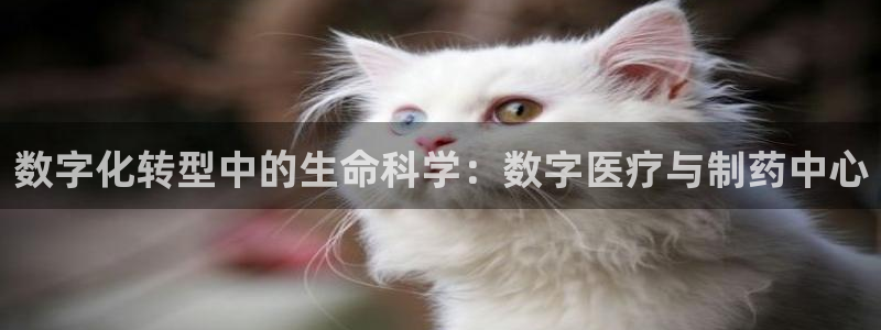 彩名堂客户端是永久免费吗安全吗知乎