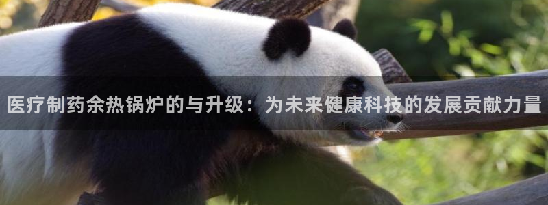 彩名堂975新版本