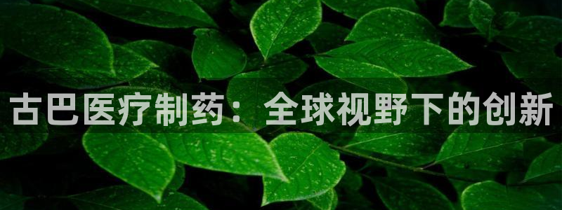 彩名堂怎么打最稳