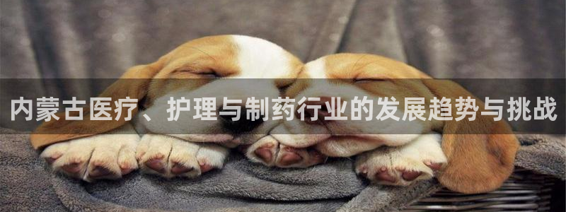 彩名堂计划怎么看