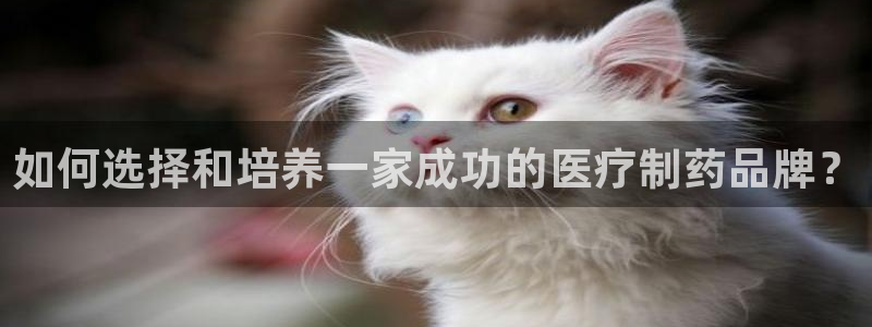 彩名堂手机客户端官网
