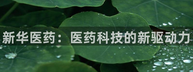 彩名堂免费计划官网5 0