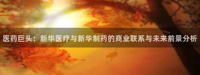 彩名堂客服电话号码