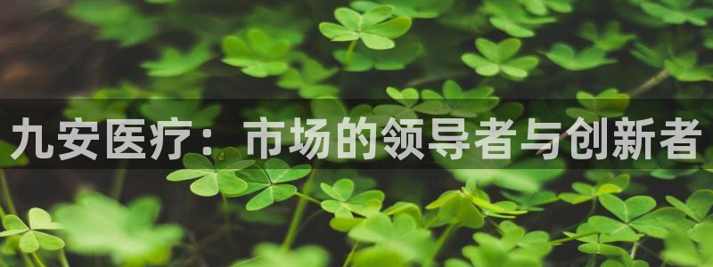 彩名堂计划怎么出的