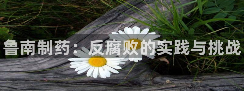 彩名堂怎么跟计划才不连挂呢